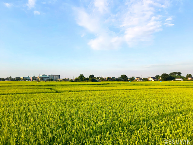 お盆ってなんやかんや日本のよき伝統だと思う