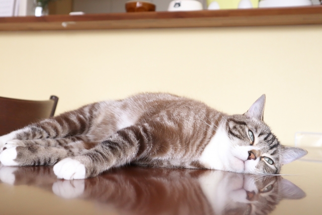 どんな生き方にも大変なことはある