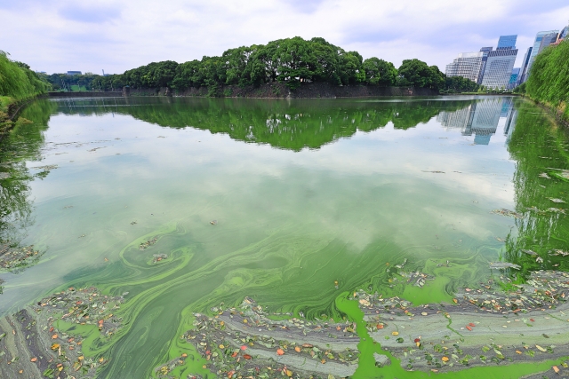 人事よ、「懸念」で止まるな。前に進める組織をつくろう